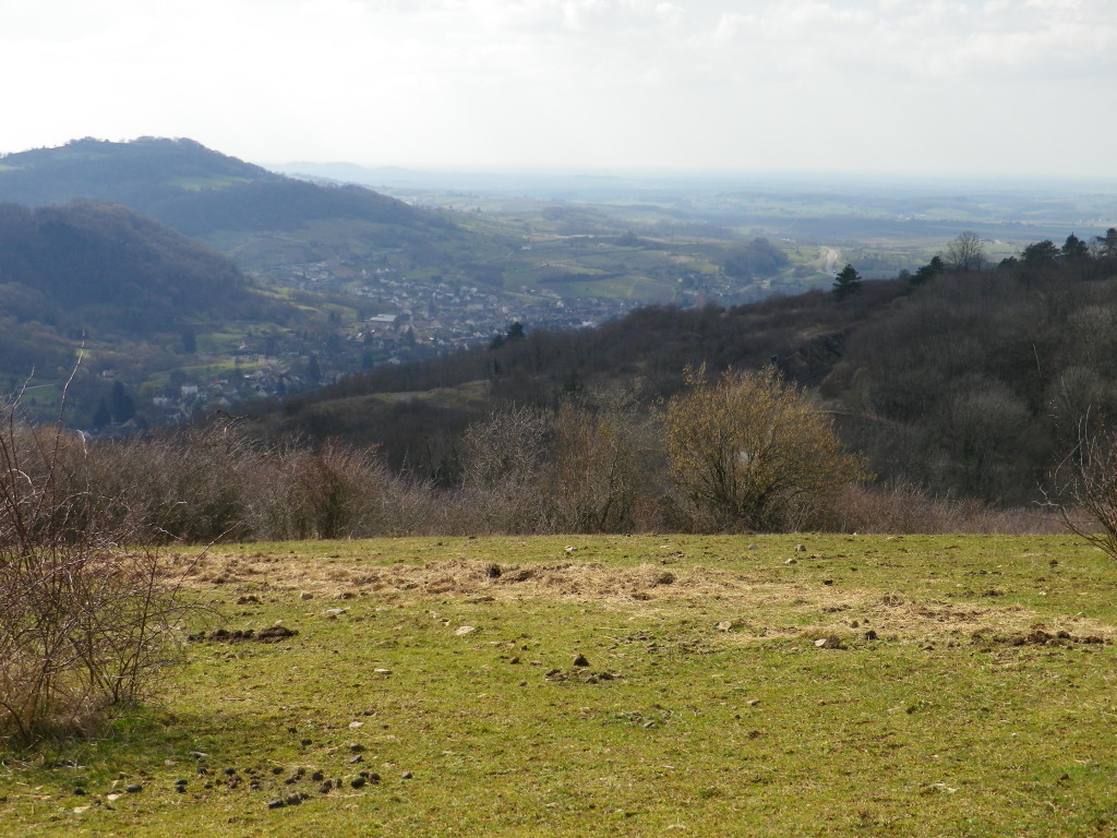 Hills above Arbois