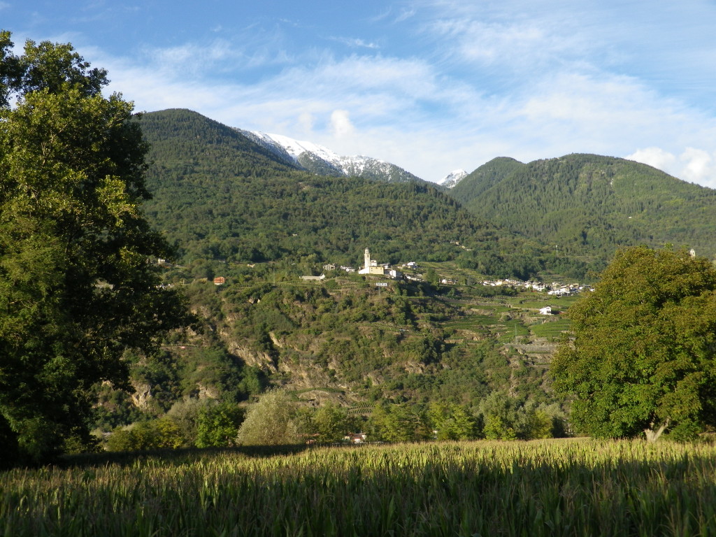 Vineyards and Villages