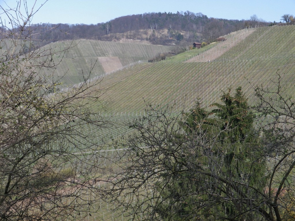 Stuttgart Countryside