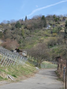 Stuttgart Wine Trail Section
