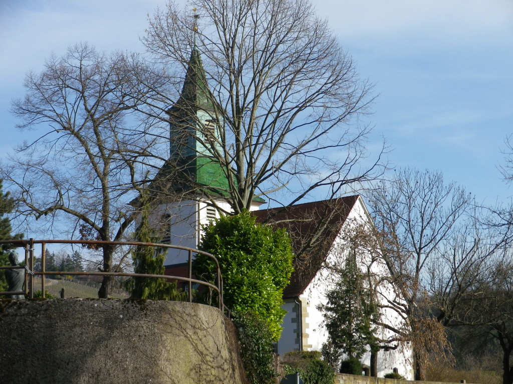 Twice-viewed on the Trail