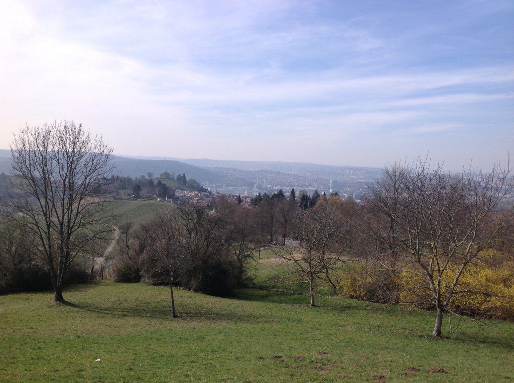 Stuttgart from Afar