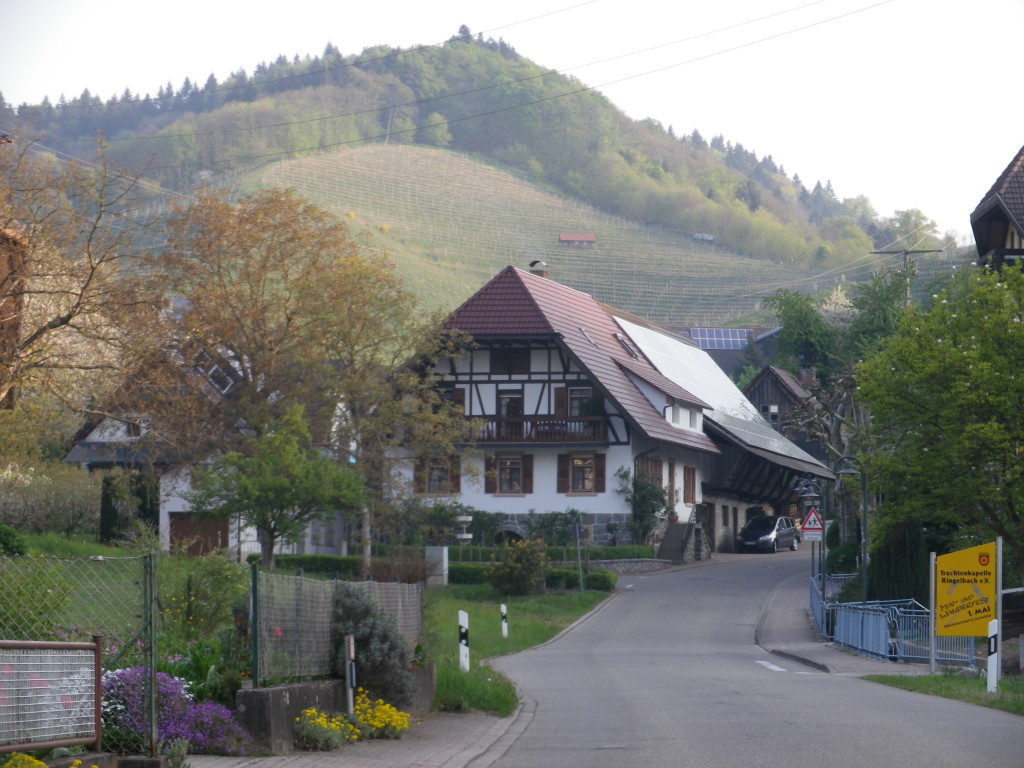 Village of Ringelbach