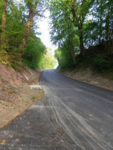 Velo Vinum Trail Section