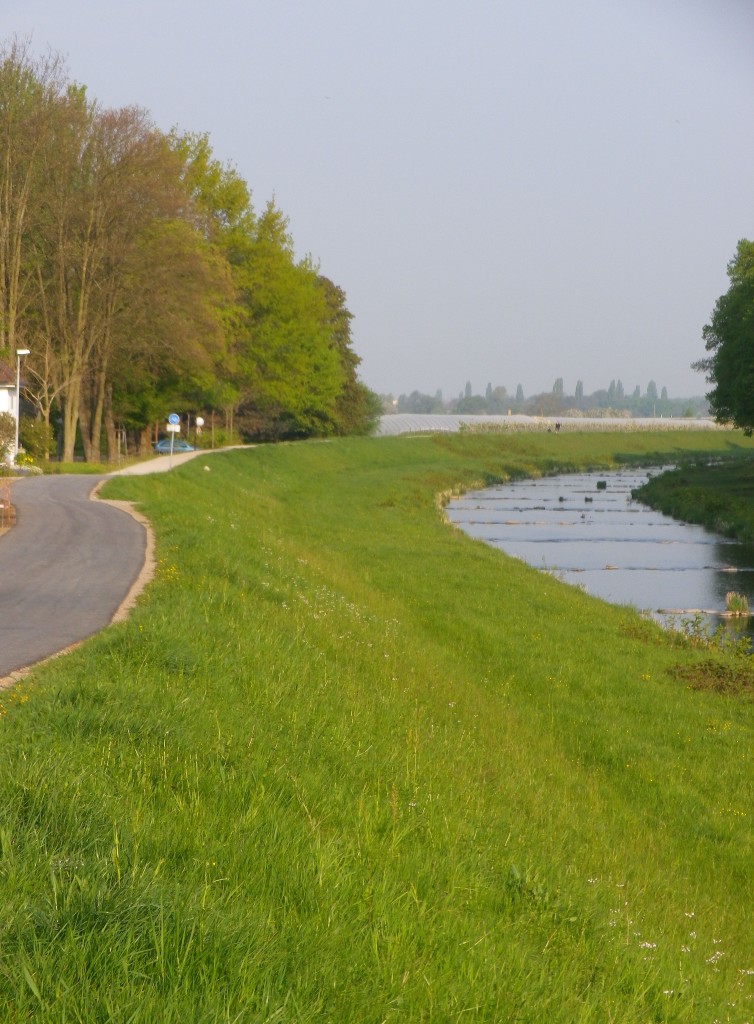 Along the Rench River