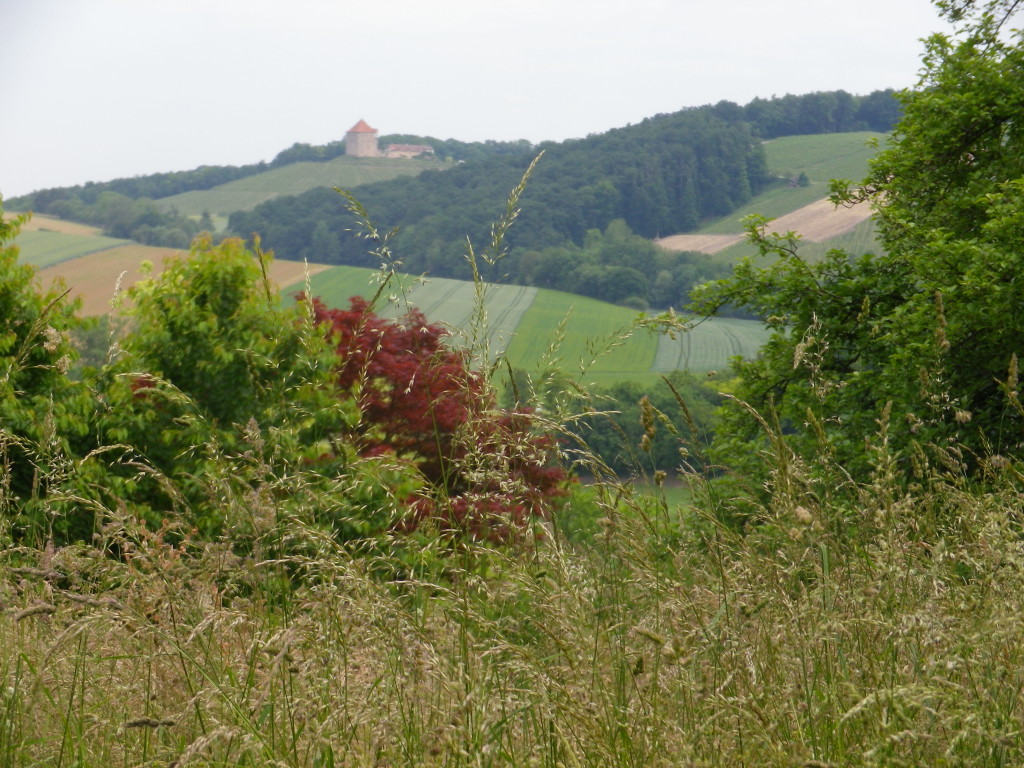 Countryside by Beilstein