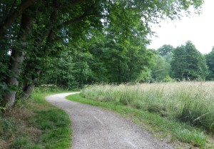 Weindoerferweg Near Start