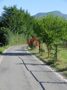 Percorso Verdi