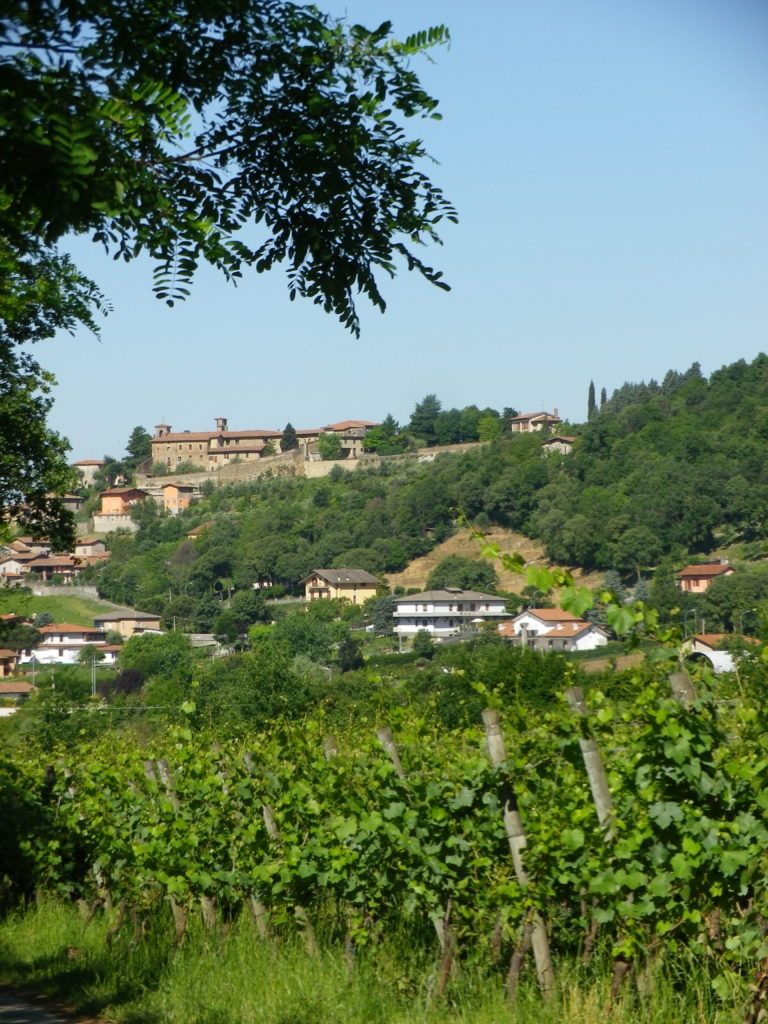 View of Capriolo