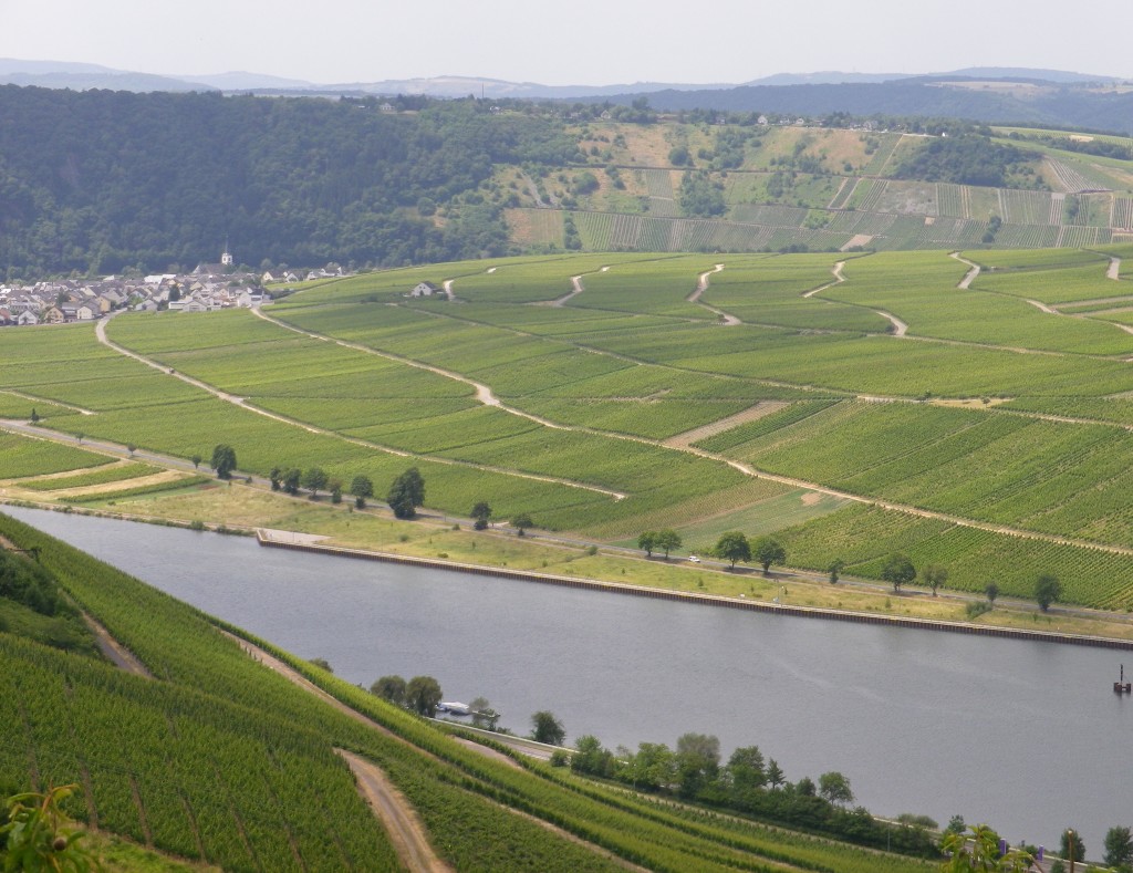 A Bend in the Moselle