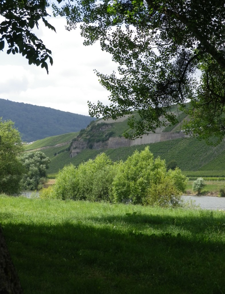 Along the Banks of the Moselle