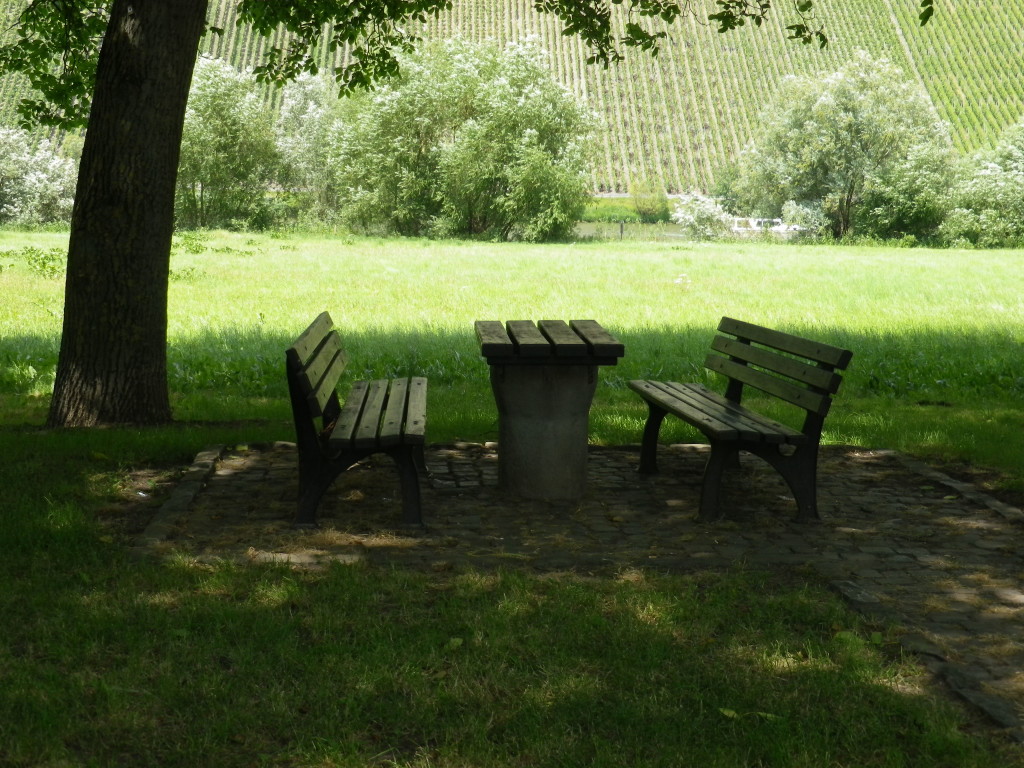 Rest Stop at Brauneberg