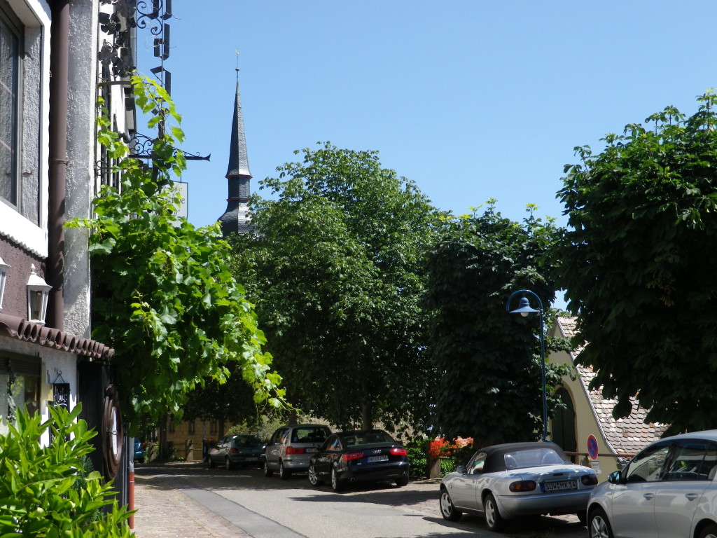 Street in Gleisweiler