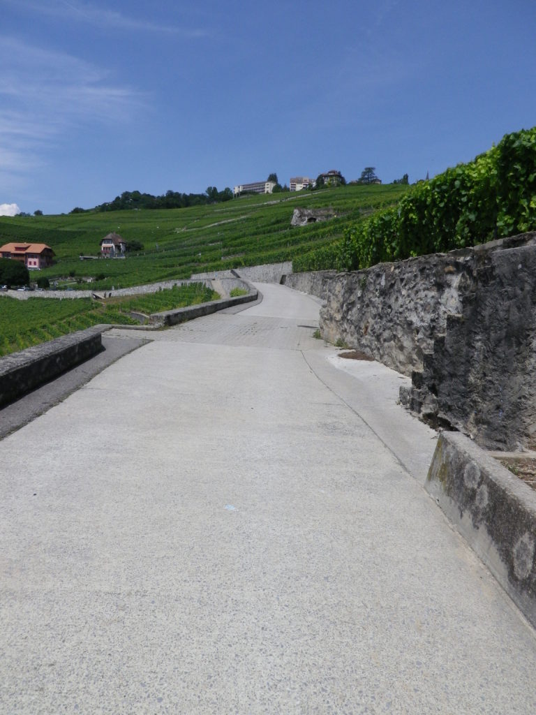 Typical Terrasses de Lavaux 