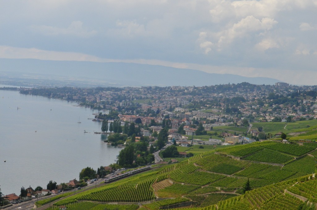 Greater Lausanne from Vineyards