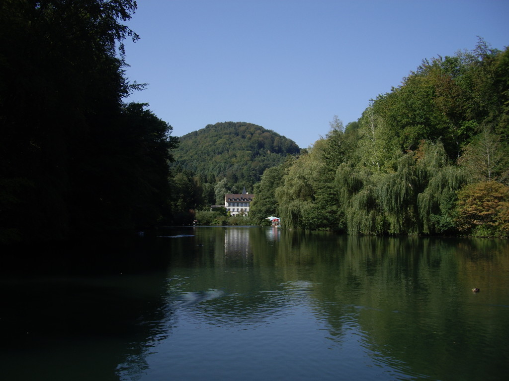 Pond at Bad Bergzabern
