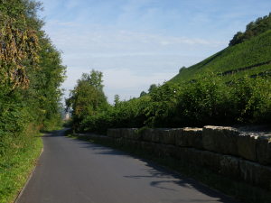 Section of the Mainradweg