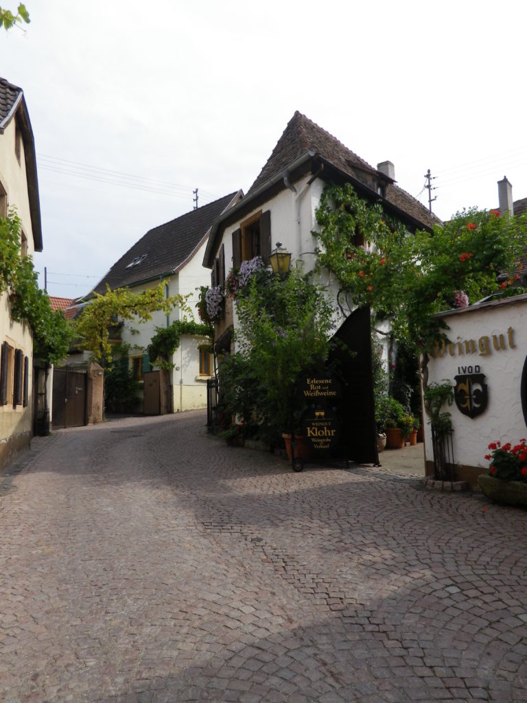 On the Trail through a Village