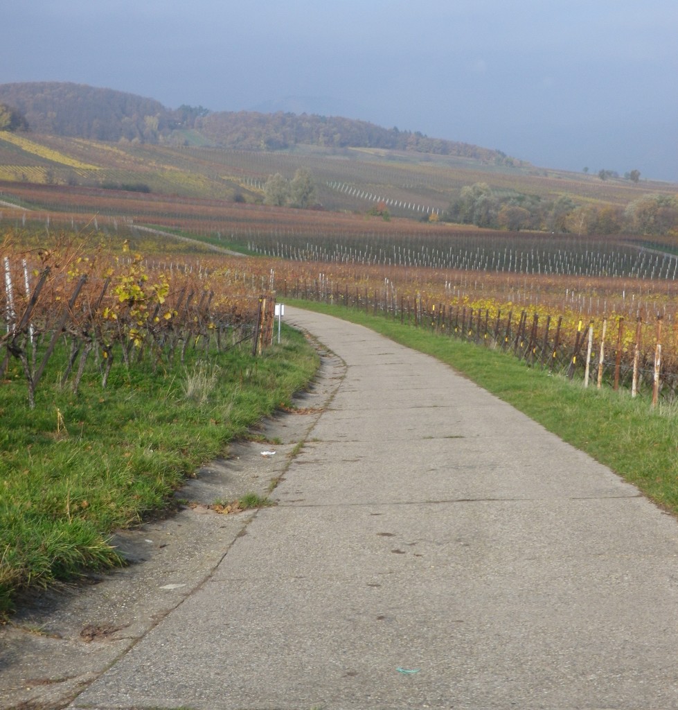 Autumn on the Trail