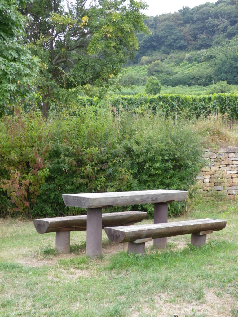 Picnic area in Deidesheim's Vineyard