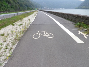 Rhine Cycle Trail Section