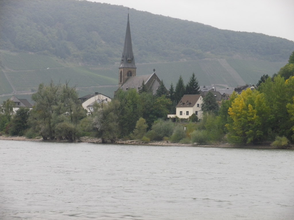 The Rhine, Filsen and Bopparder Hamm Vineyards