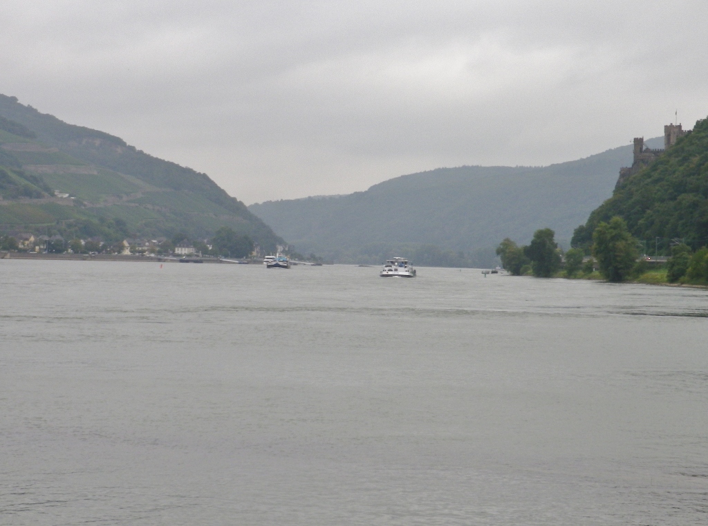 Seen From the Rhine Cycle Route