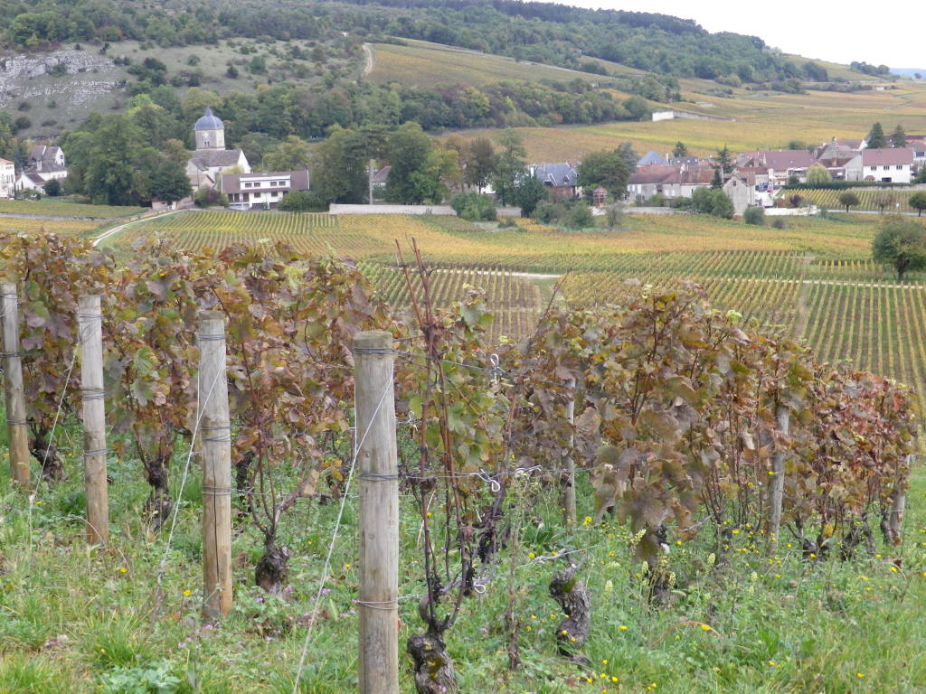 View of Chambolle-Musigny