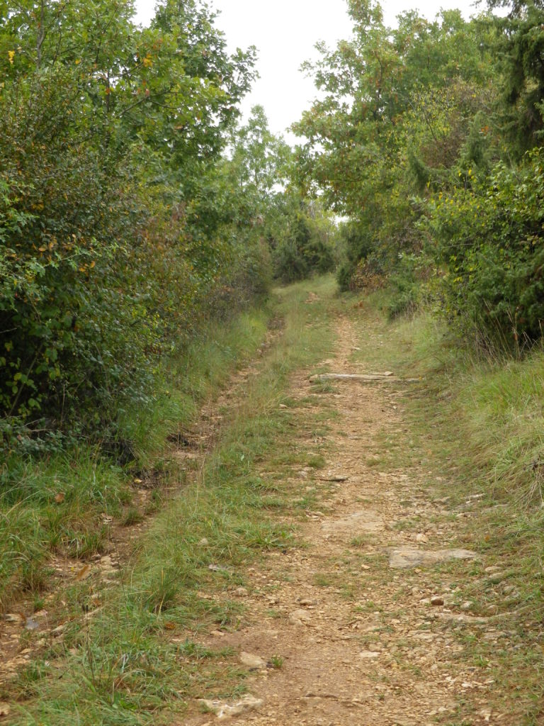 Trail Outside Chambolle-Musigny