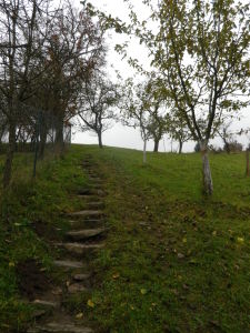 Steps on the Spitzer Graben Panoramaweg