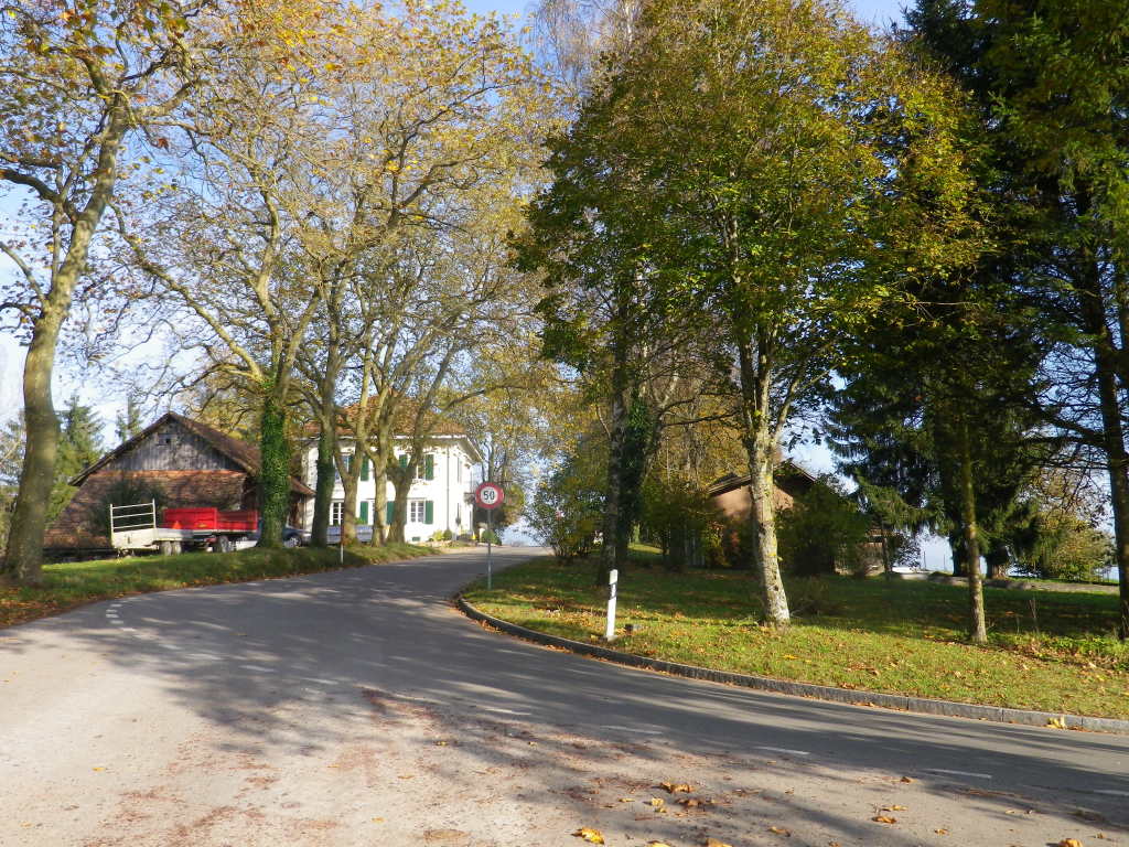 Hallauer Berghof