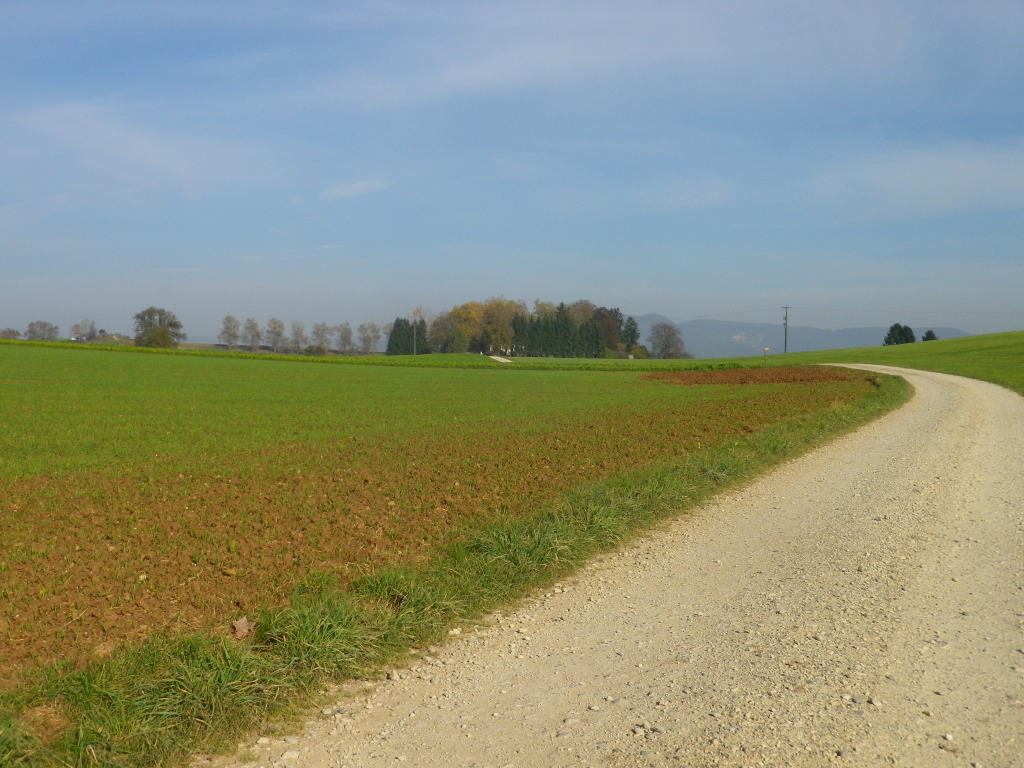 Trail outside Hallauer Berghof