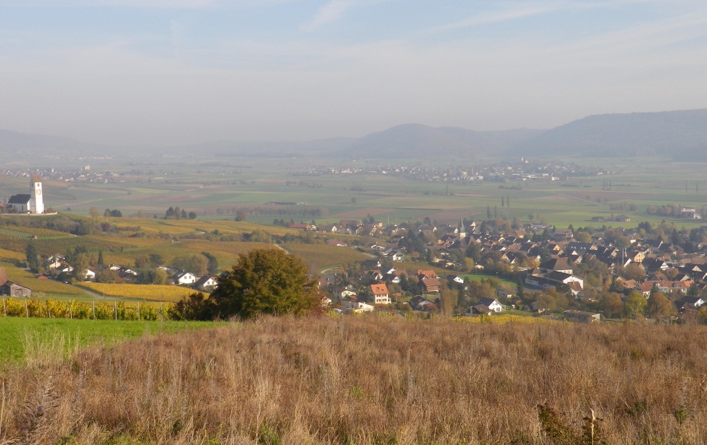 View of the Klettgau