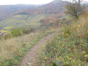 A Narrow Section of the Spitzer Graben Panoramaweg