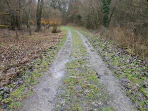 Auto Pedestre 1 Trail through the Nature Preserve