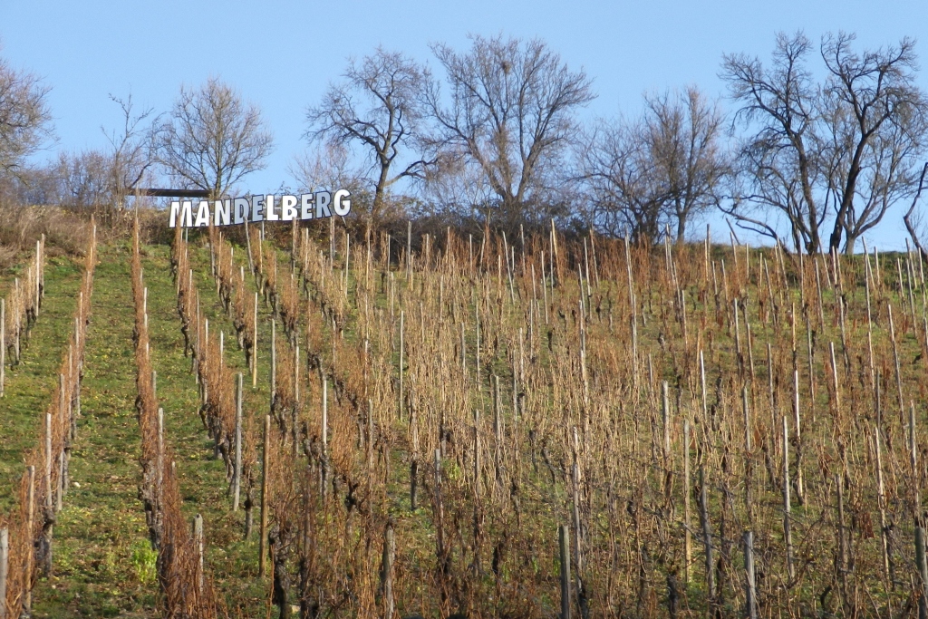 Grand Cru Mandelberg