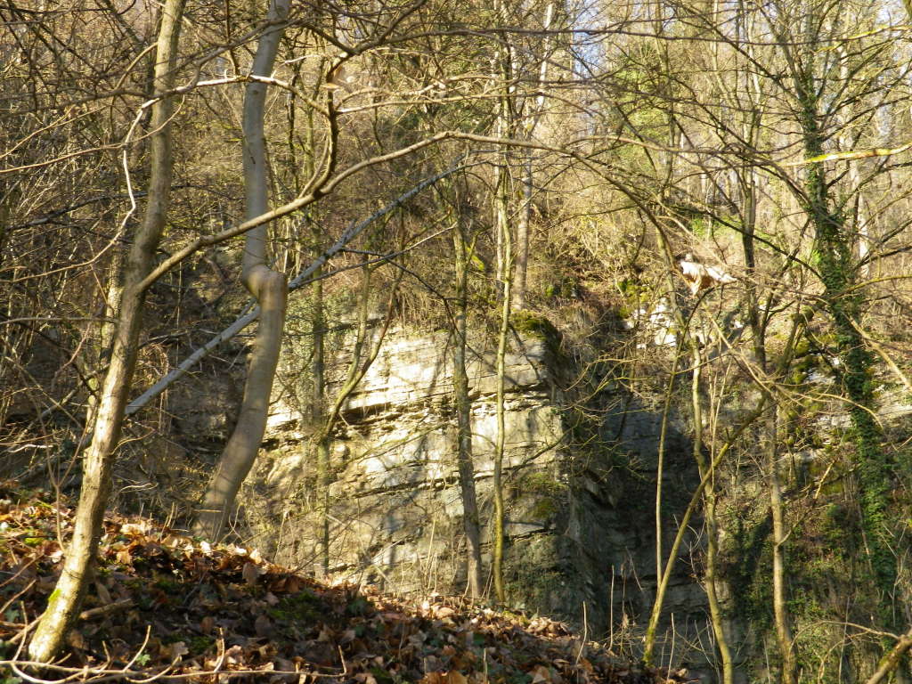 Old Quarry, Scheyerhof