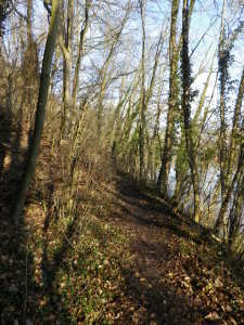 On the Riesling Wanderweg