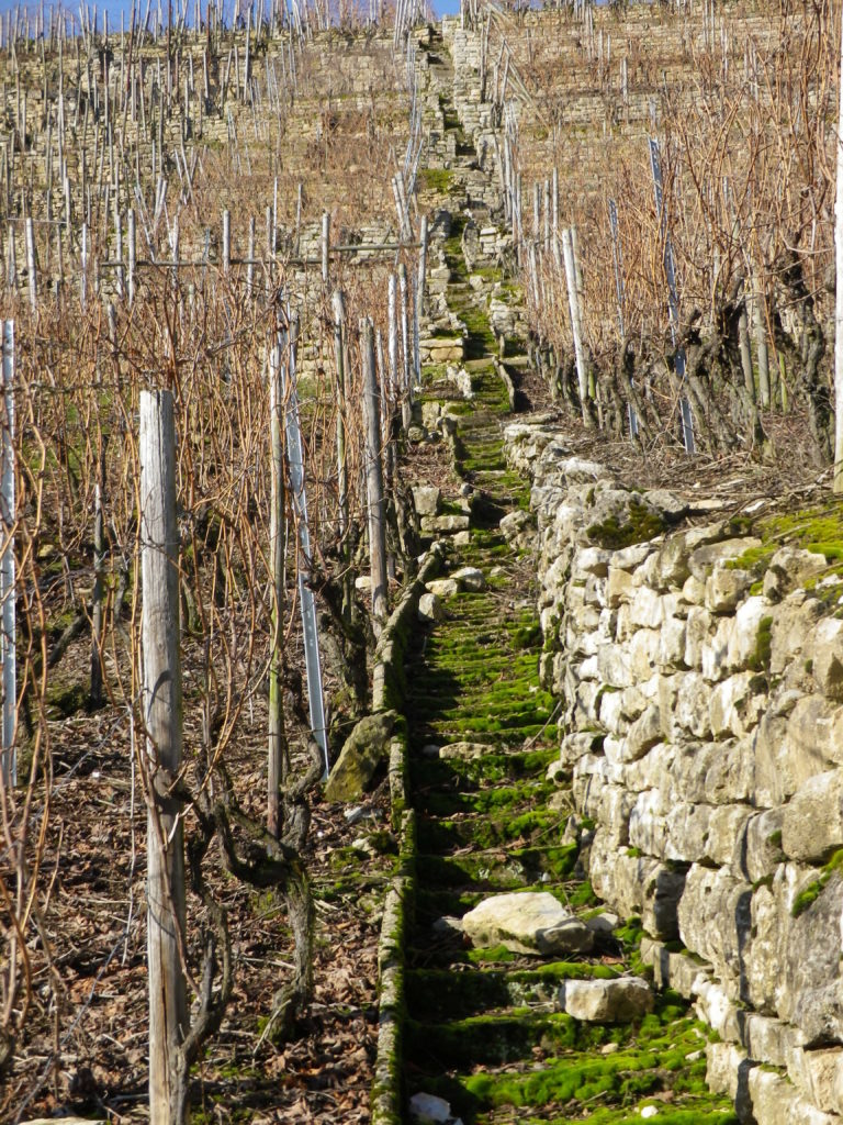 From Quarried Stone to Terraces