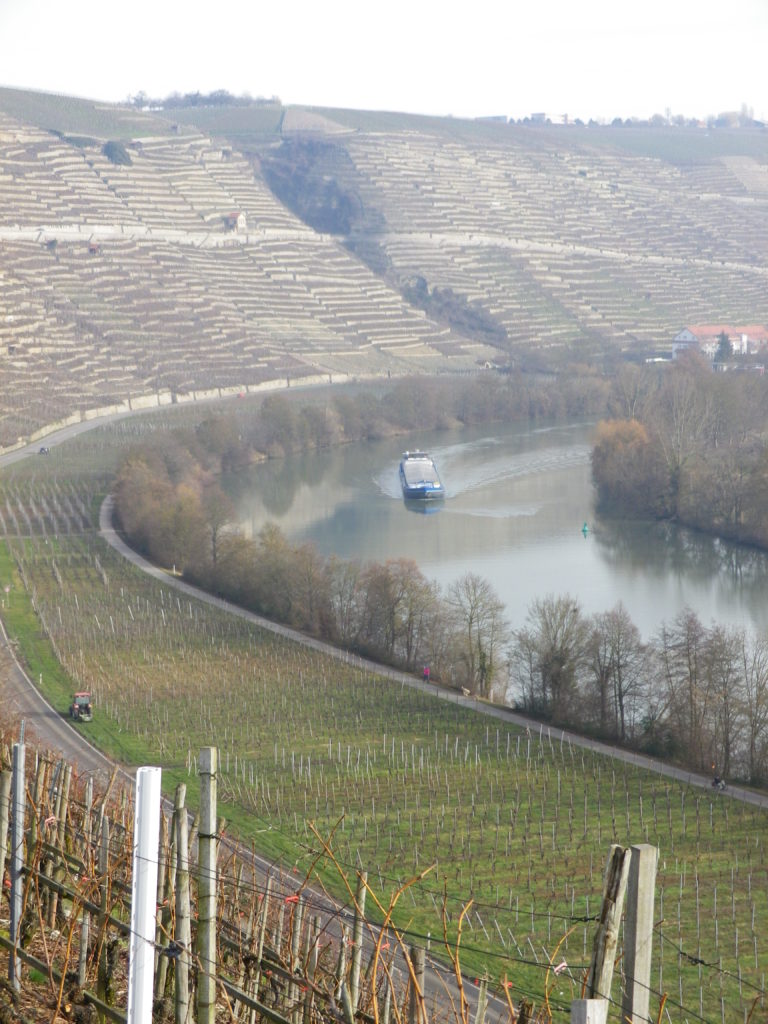 High above the Neckar