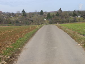 Trails along Asphalt