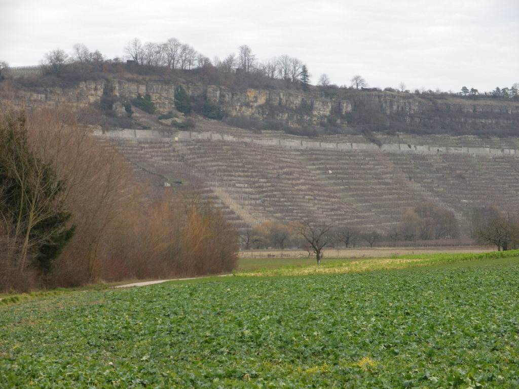 Felsengarten, from the Trollingerweg