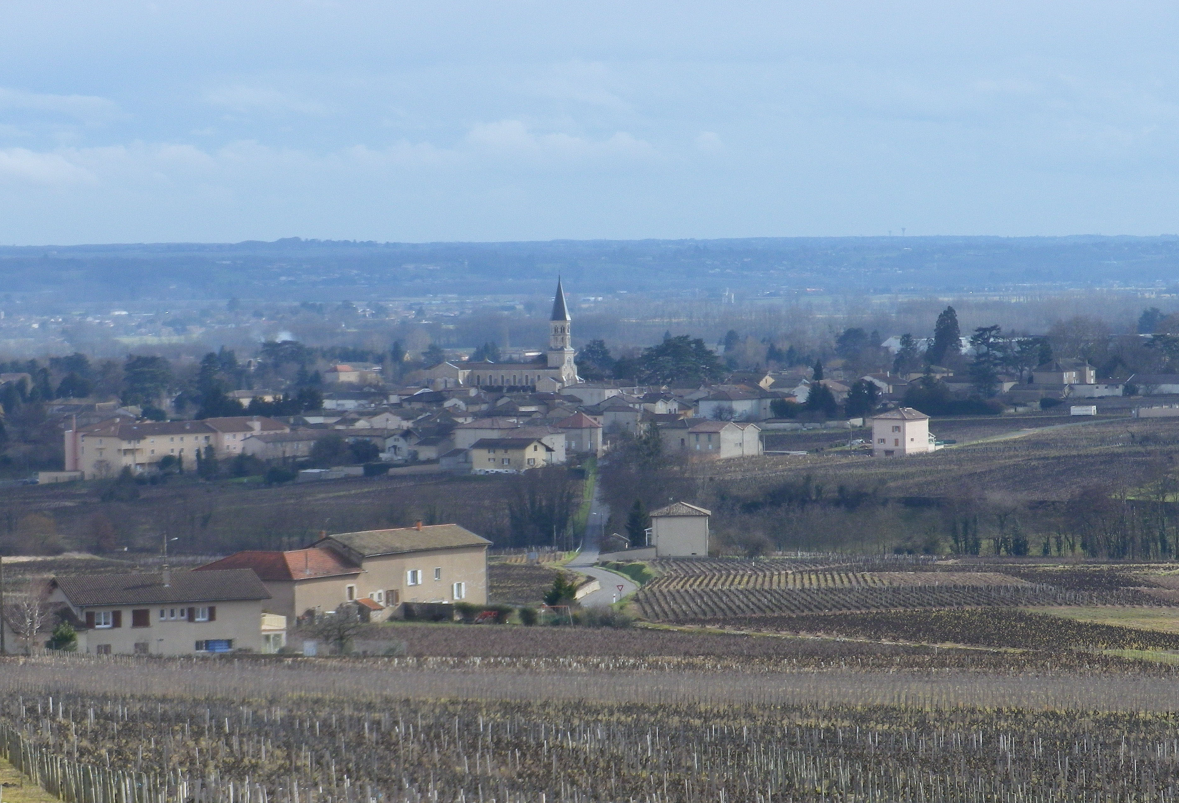 View of Romaneche from near the Windmill