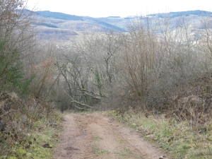 Trail Surface on Circuit de Gargantua