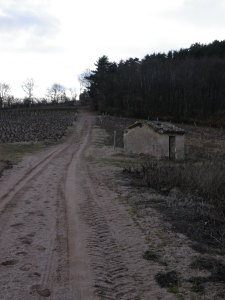 Circuit de Gargantua Sandy Trail Surface