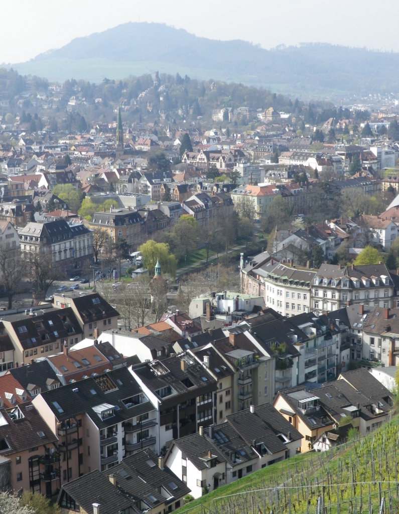 Freiburg from Above