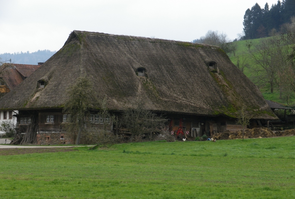 Traditional Thatched Roof