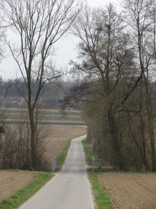 Breisgauer Weinweg Through Fields