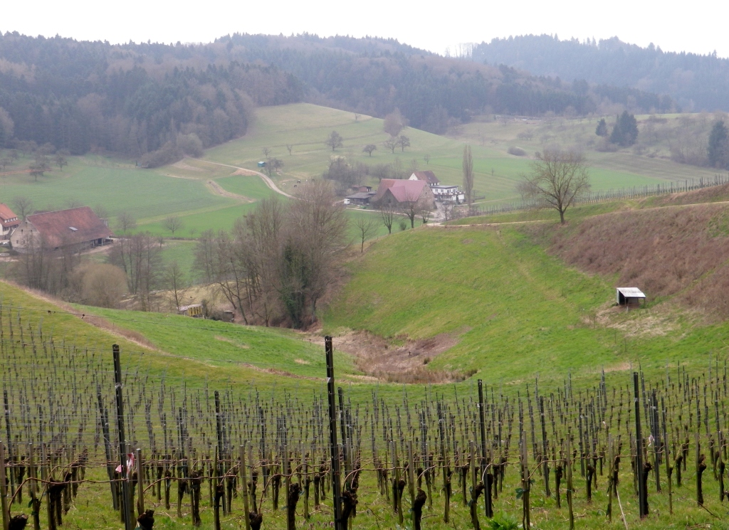 Reichenbaechle Natural Bowl