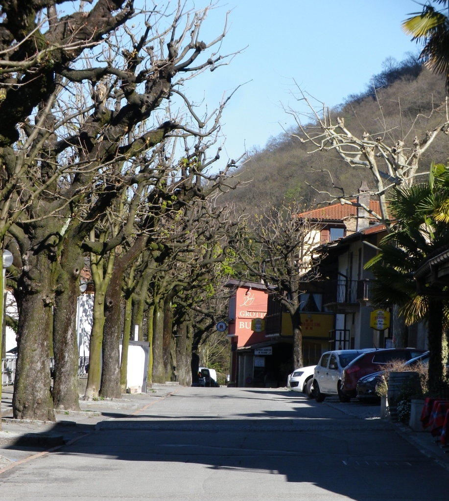 Viale alle Cantine, Mendrisio